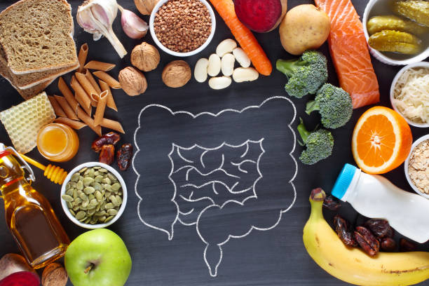 A spread of gut-health promoting fermented foods including organic probiotic yogurt, dynamic kefir grains, and traditional kimchi.